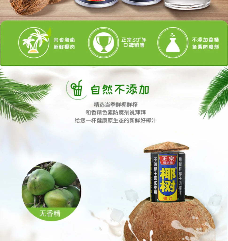 Yeshu, Coconut Juice, Pack of 6, 245ml/bottle