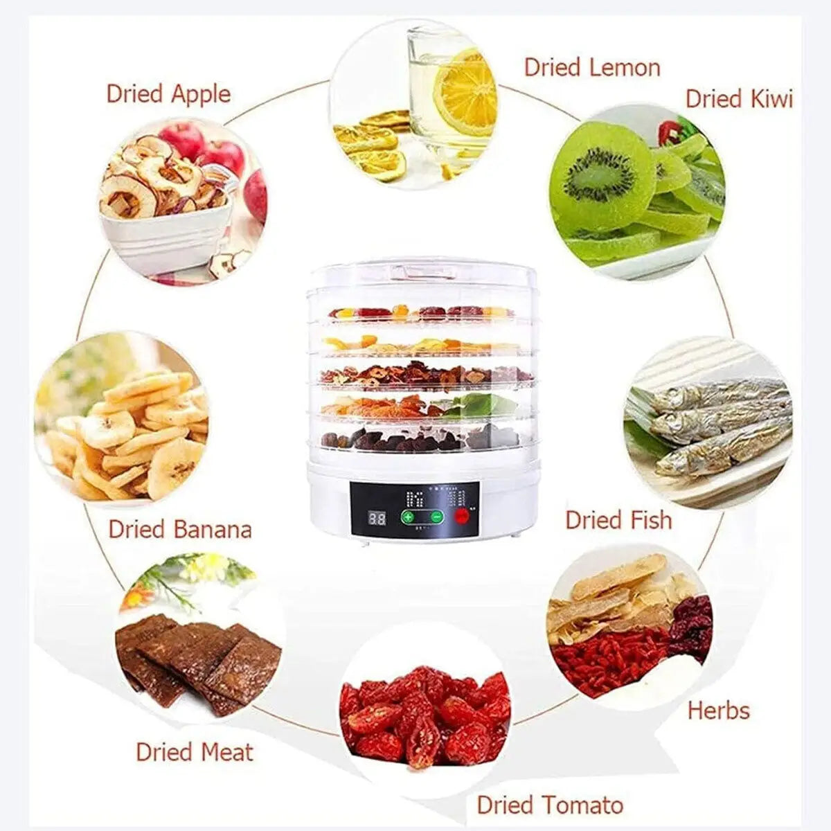 5 Tray Electric Food Dehydrator Snack Fruit Dryer Home Use Multifunctional Kitchen Meat Beef Dryer Veg Preserver Machine 350W