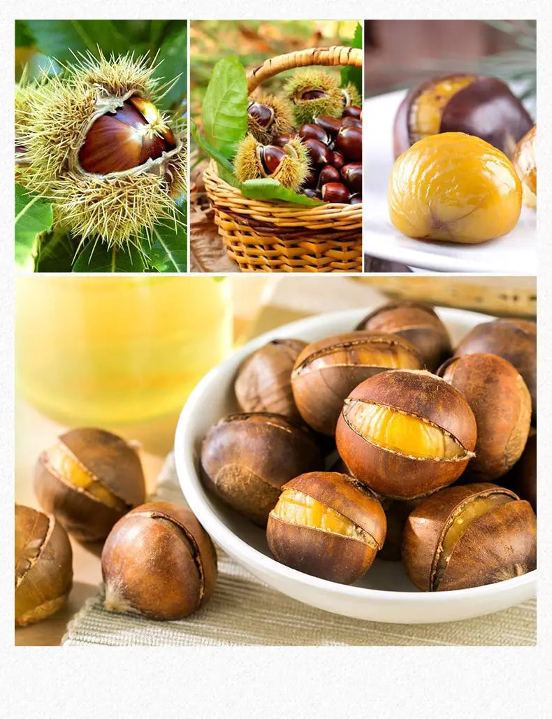 Bestore, Smiling Chestnuts, Pack of 3, 120g/bag